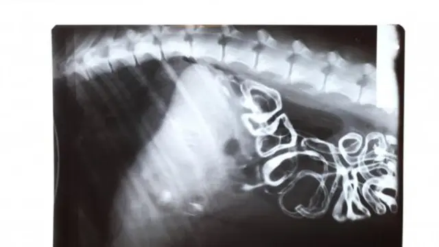 (c) shutterstock.com