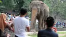 Warga melihat gajah di Kebun Binatang Ragunan, Jakarta, Minggu (27/12/2015). Ragunan masih menjadi tempat favorit untuk rekreasi bagi warga ibukota dan sekitarnya. (Liputan6.com/Helmi Afandi)