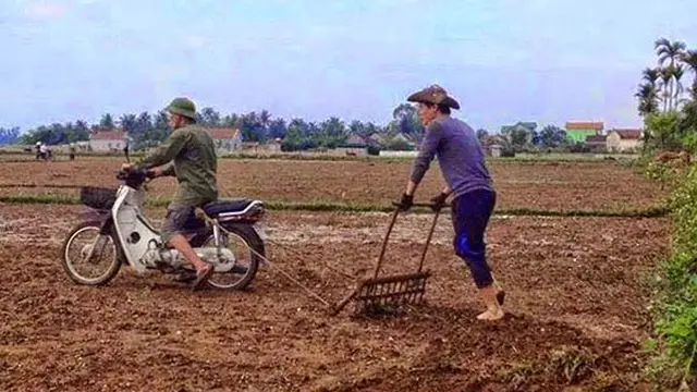 7 Potret Absurd Aksi Petani saat Garap Sawah Ini Bikin Tepuk Jidat