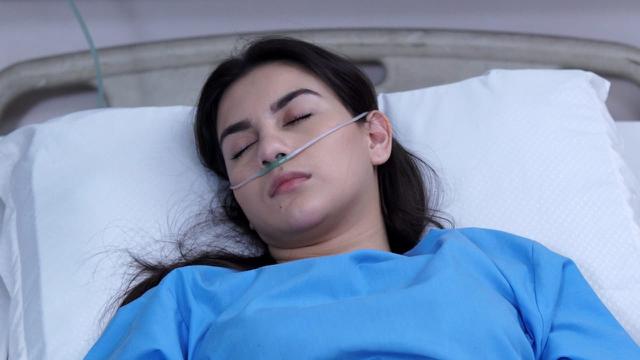 Sinopsis Sinetron Sctv Cinta Suci Episode Rabu 10 April 2019 Bunga Bertemu Papanya Showbiz Liputan6 Com