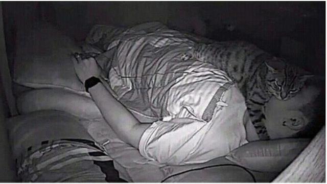 7 Potret Tingkah Laku Kucing Ini Bikin Geleng Kepala