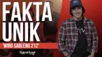 WIRO SABLENG 212 bakal diputar akhir bulan ini. Penasaran nggak sih berapa budget film yang digarap oleh kakak ipar Vino G Bastian ini? Simak dulu fakta-fakta uniknya.