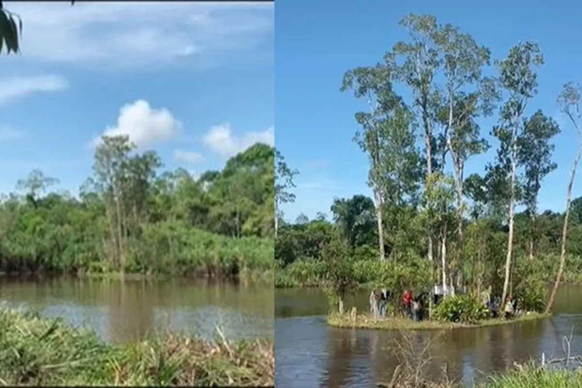 Viral Pulau di Kalimantan Bergerak Ikuti Arus Air di Jam Tertentu, Bikin Takjub
