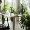 Walking Pad, Treadmill Mini untuk Pekerja WFH agar Tetap Aktif Saat Bekerja