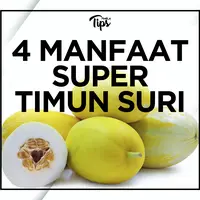 Timun Suri yang Segar dan 4 Manfaat Supernya untuk Kesehatan
