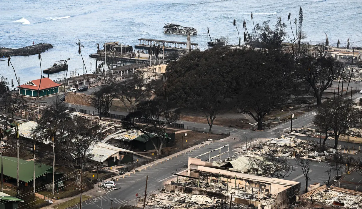 Dari semua situs di Lahaina, hanya sedikit yang seterkenal pohon beringin setinggi 60 kaki (18 meter) dengan 46 batang, yang meliputi area seluas 1,94 acre (0,78 hektare) yang kira-kira seukuran blok kota. (Patrick T. Fallon / AFP)