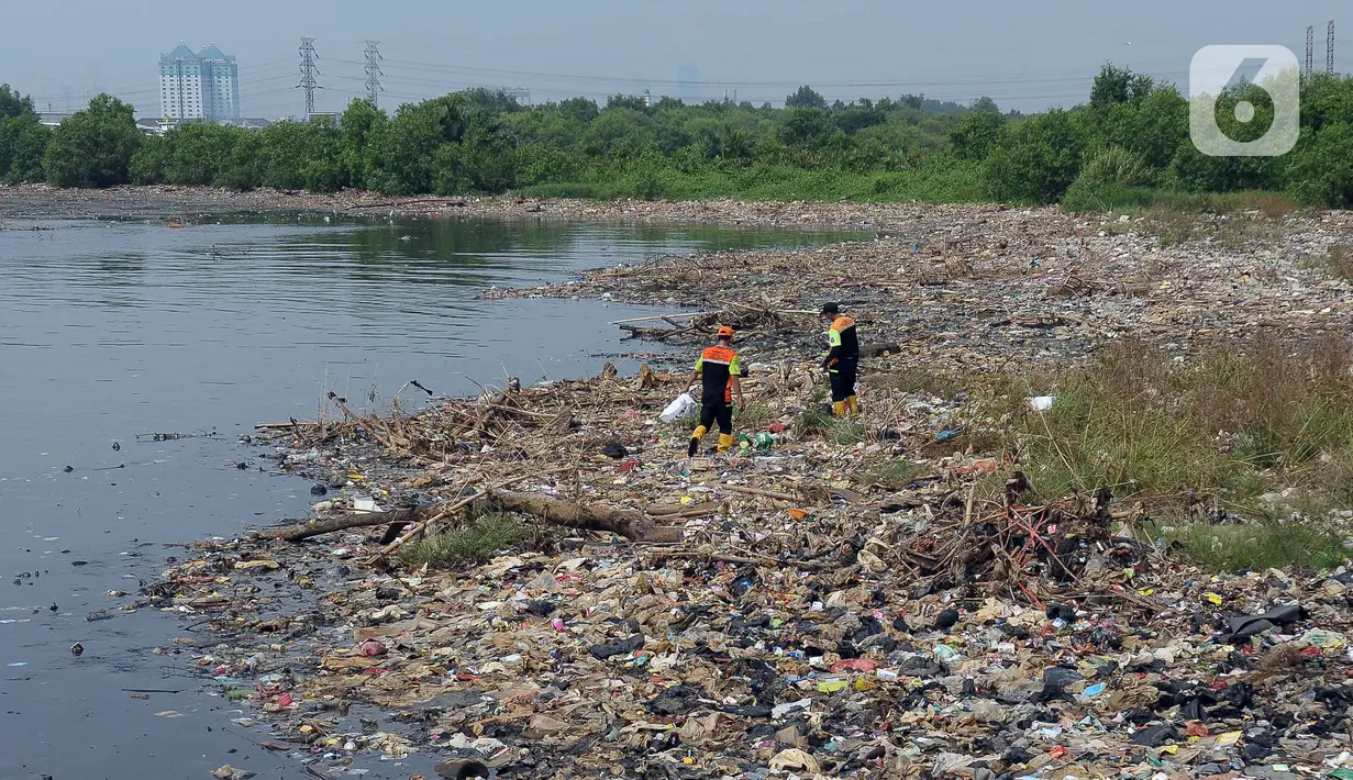 Sampah-sampah yang timbul di hutan mangrove Muara Angke berasal dari dua titik, sampah dari laut dan Kali Angke. (merdeka.com/Imam Buhori)