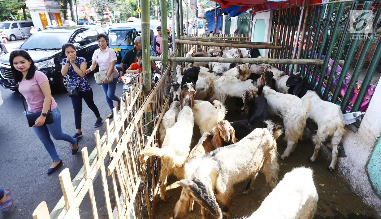 Warga melintas di lapak penjual kurban, Jakarta, Jumat (25/8). Gubernur DKI Djarot S Hidayat menegaskan, trotoar diperuntukkan untuk pejalan kaki. Penjual apa pun, termasuk penjual hewan kurban, tidak diizinkan membuka lapak. (Liputan6.com/Angga Yuniar)