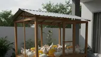 7 Contoh Kandang Ayam Broiler Skala Rumahan: Efisien, Hemat Biaya, dan Optimal untuk Pemula