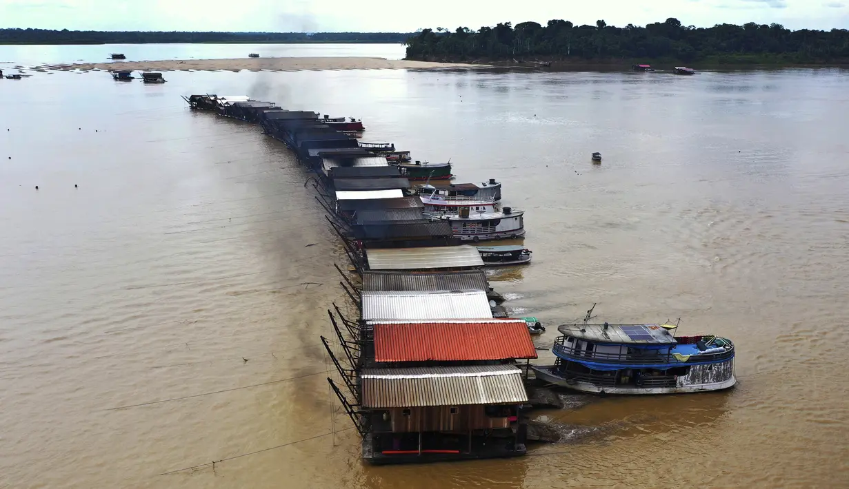 Tongkang pengerukan yang dioperasikan penambang ilegal berkumpul di anak Sungai Amazon, Sungai Madeira, di Autazes, Amazonas, Brasil, 25 November 2021. Ratusan tongkang penambangan telah tiba selama dua minggu terakhir setelah desas-desus tentang emas menyebar. (AP Photo/Edmar Barros)