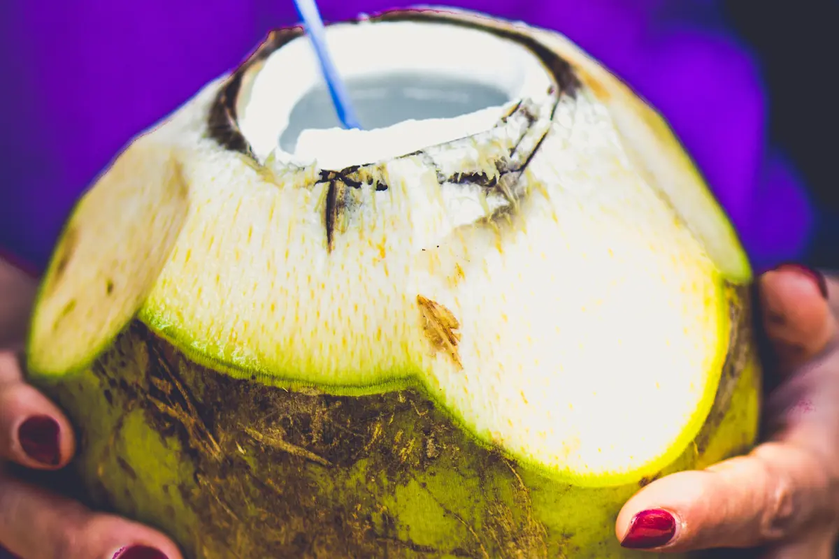 Ilustrasi Air Kelapa