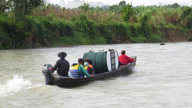 Proses pelepasliaran