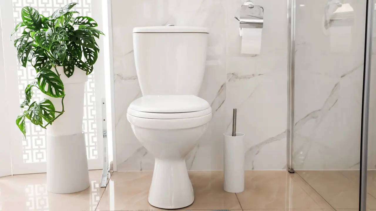 Ide Toilet Minimalis dengan Desain Estetik yang Bisa Ditiru