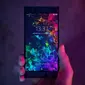 Tampilan anyar Razer Phone 2 (sumber: razer)