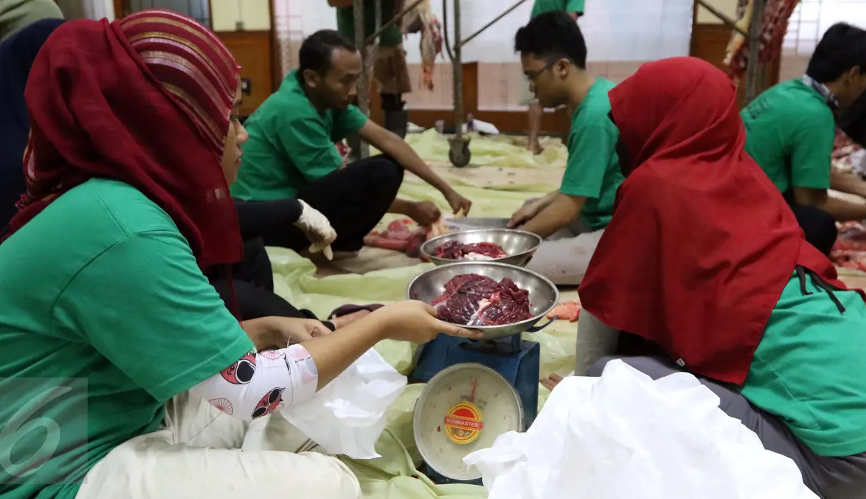 Panitia menimbang daging kurban sebelum dimasukkan ke dalam plastik di Masjid Sunda Kelapa, Jakarta, Senin (12/9). Panitia tidak lagi membagi-bagikan daging kurban langsung kepada masyarakat bertepatan Hari Raya Idul Adha 1437H (Liputan6.com/Helmi Afandi)