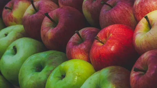 3. Jenis yang Berbeda, Manfaat yang Berbeda