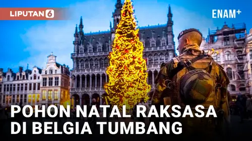 VIDEO: Pohon Natal Raksasa di Belgia Tumbang, Satu Lansia Tewas Tertimpa