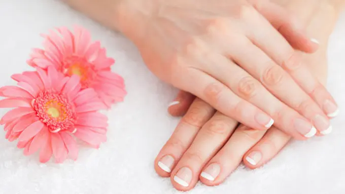 Foto: copyright Shutterstock.com