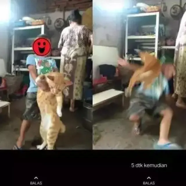 6 Status WhatsApp Sebelum Vs Sesudah Kejadian Apes Ini Bikin Ngakak
