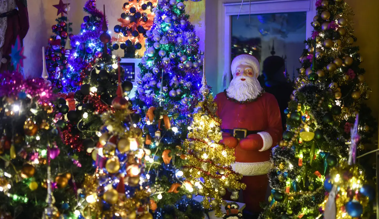 Sosok Santa Claus berdiri di antara pohon-pohon Natal di ruang tamu rumah keluarga Thomas Jeromin di Rinteln, Jerman, Minggu (8/12/2019). Thomas Jeromin memenuhi rumahnya dengan 350 pohon Natal di hampir tiap sudut rumah, mulai dari ruang tamu, dapur sampai kamar mandi. (Ina FASSBENDER/AFP)