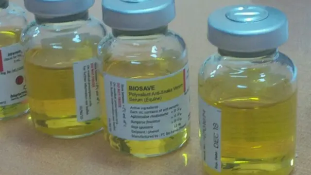 20 Ampul Temuan BPOM Pekanbaru, Vaksin Palsu atau Serum Palsu?