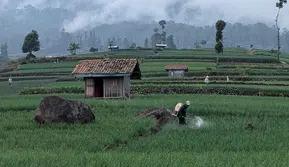 Kasus Bunuh Diri Terbanyak Berdasarkan 5 Jenis Profesi, Petani di Urutan Pertama
