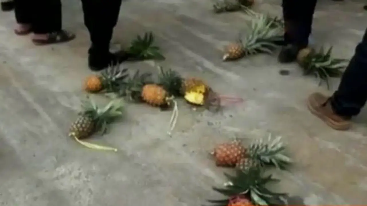 Unjuk Rasa Pedagang Nanas