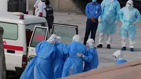 WHO Sebut Risiko Penyebaran Hantavirus dari Kapal MV Hondius Masih Rendah