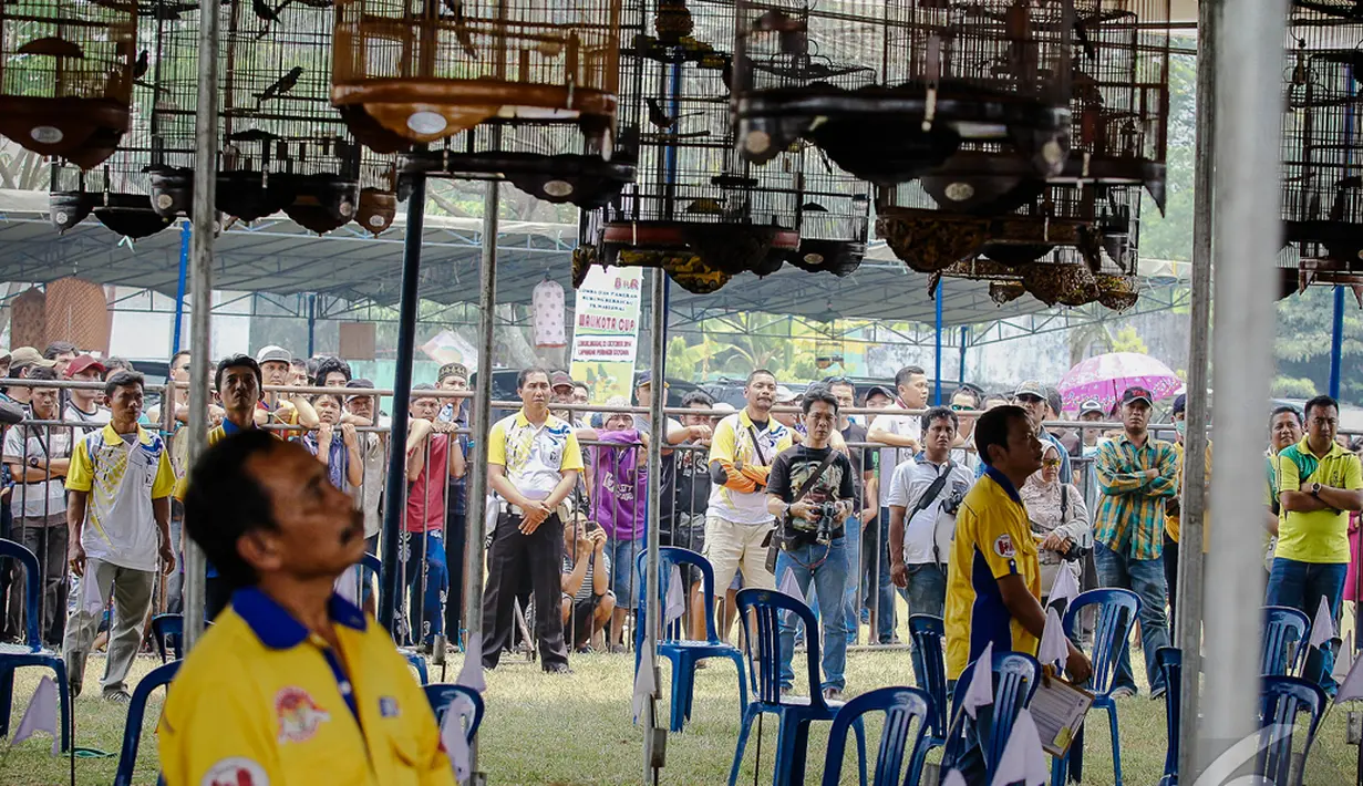 Untuk menarik minat wisatawan ke  Lubuklinggau,  Walikota Lubuklinggau menggelar lomba burung berkicau yang berhadiah cukup besar, Sumatera Selatan, Minggu (12/10/2014) (Liputan6.com/Faizal Fanani)