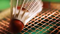 ilustrasi bulutangkis