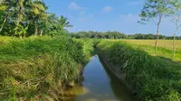 Kementerian PU Rehabilitasi Daerah Irigasi Cibaliung