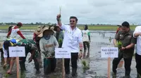 Perkuat Produksi Beras Nasional, Mentan SYL Kawal Gerakan Tanam Padi di Kapuas