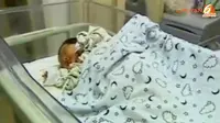 [VIDEO] Ibu di China Lahirkan Bayi Seberat 6 Kilogram