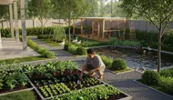 7 Cara Menata Kebun dan Ternak di Belakang Rumah Agar Rapi dan Produktif, Memudahkan Pekerjaan