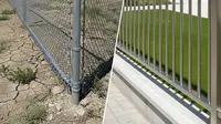 Biaya Pasang Pagar Galvanis vs Stainless, Lebih Hemat Mana?