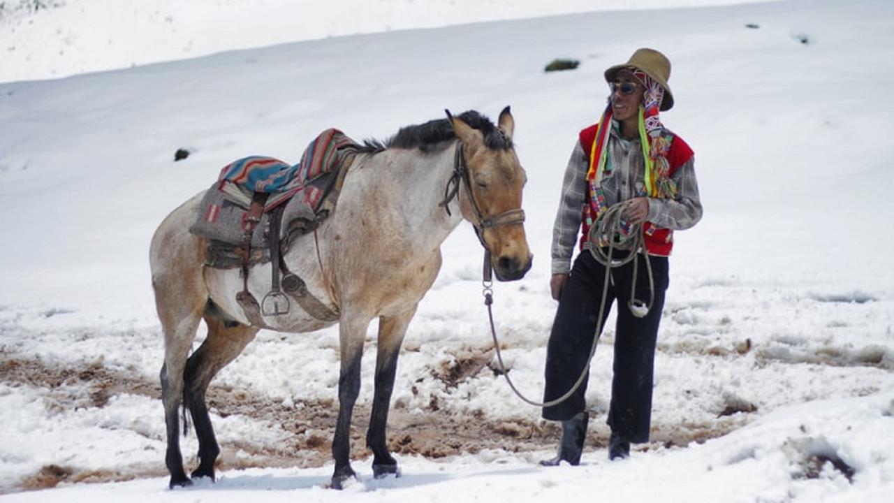 Ilustrasi terapi kuda