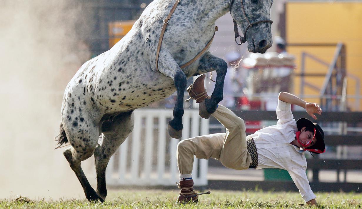 Seorang Gaucho terlempar dalam Criolla del Prado di Montevideo, Uruguay, Rabu (12/4). Selama Minggu Suci, kota Montevideo menyelenggarakan rodeo untuk penunggang kuda terbaik. (AP Photo / Matilde Campodonico)