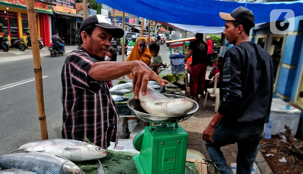 Pedagang menimbang ikan bandeng yang di jual di Rawa Belong, Jakarta, Jumat (20/1/2023). Penjual bandeng musiman ini menjual daganganya jelang perayaan Imlek yang dijual dengan harga mulai dari Rp. 50.000 hingga Rp. 90.000 per kilonya. (Liputan6.com/Angga Yuniar)