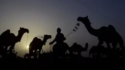 Pedagang menjual unta hingga kambing untuk hewan kurban. (AFP/Asif Hassan)