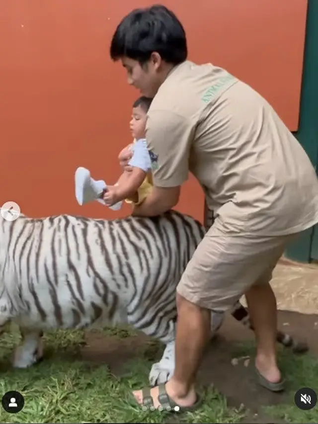 Ria Ricis dan Moana main bareng harimau Alshad Ahmad (Foto: instagram riaricis1795)