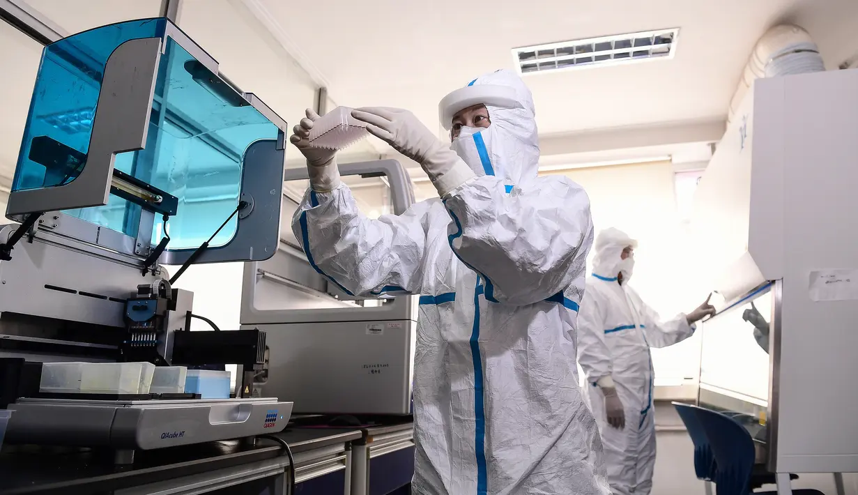Petugas laboratorium melakukan pengujian sampel dari orang yang akan diuji untuk virus corona COVID-19 di sebuah laboratorium di Shenyang, provinsi Liaoning timur laut China, Rabu (12/2/2020). WHO kini tidak lagi menyebut virus yang merebak di China sebagai Virus Corona Baru. (STR/AFP)