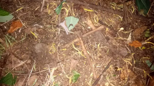 Kerangka manusia yang ditemukan di Bekasi, Sabtu (16/5/2020)