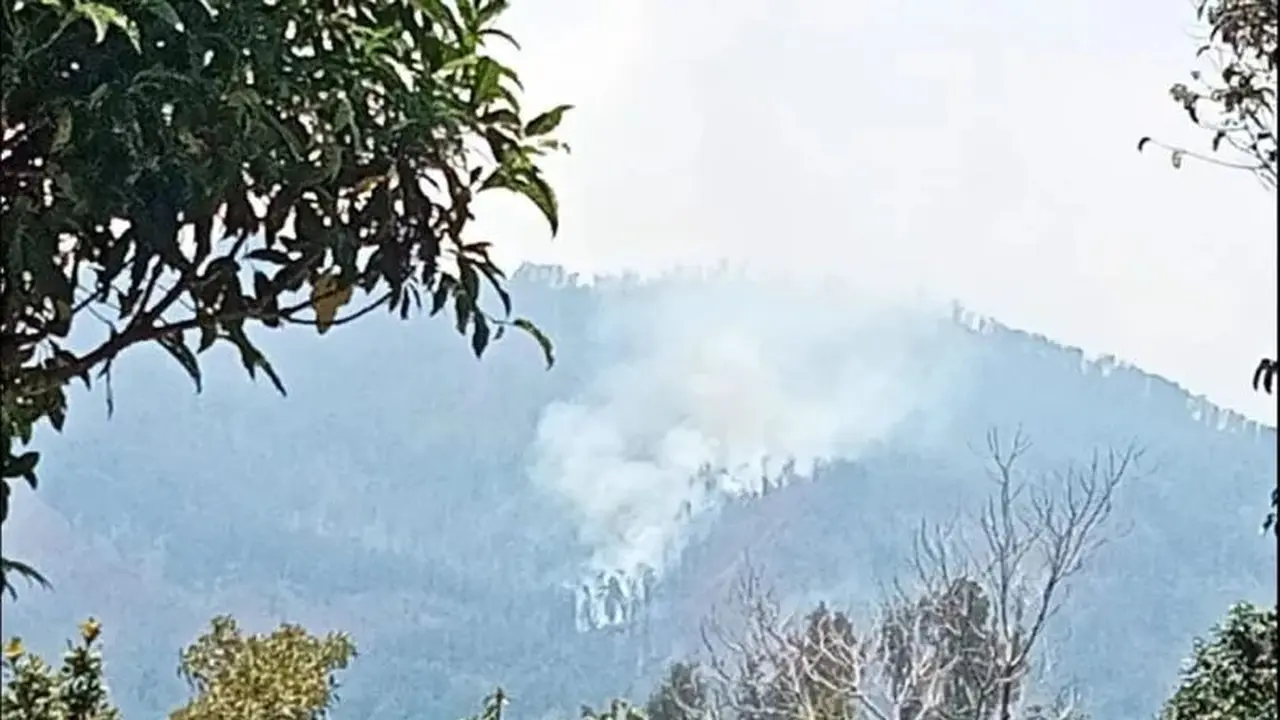 Kebakaran hutan dan lahan di kawasan gunung argopuro dan suaka margasatwa dataran tinggi hyang. (istimewa)