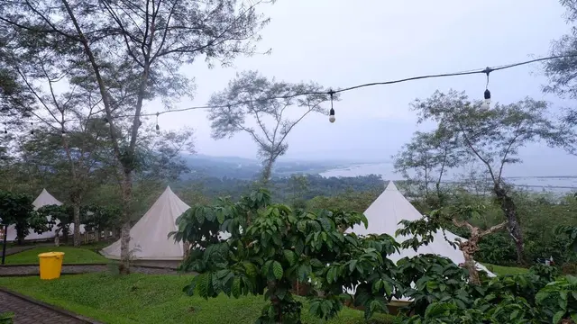 Camp coffee di Kampoeng Kopi Banaran, Bawen, Kabupaten Semarang, Jawa Tengah