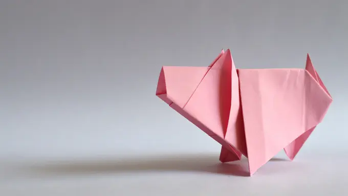 Pertama dalam Sejarah, Dokter AS Berhasil Cangkok Jantung Babi ke Manusia