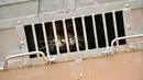 Harimau sumatra liar yang berhasil ditangkap berada dalam kandang evakuasi di Desa Singgersing, Kota Subulussalam, Aceh, Minggu (8/3/2020). BKSDA Aceh mendatangkan pawang dan memasang perangkap untuk menangkap harimau yang selama ini memangsa ternak warga di daerah itu. (CHAIDEER MAHYUDDIN/AFP)
