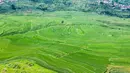 Foto dari udara yang diabadikan pada 29 Juni 2020 ini menunjukkan pemandangan sawah terasering di Xinmin, Kota Panzhou, Provinsi Guizhou, China barat daya. (Xinhua/Tao Liang)