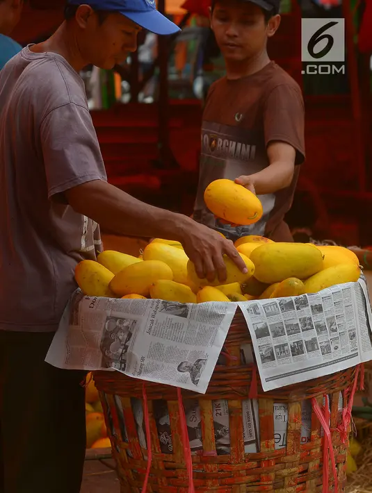 Pedagang timun suri merapikan dagangannya di Pasar Induk Kramat Jati, Jakarta, Rabu (23/5). Pedagang menjual timun seharga Rp 7 ribu per kilogram. (Merdeka.com/Imam Buhori)