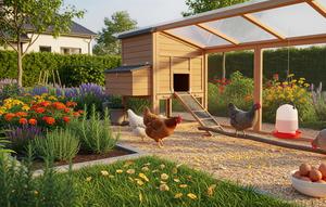 Ternak Ayam Rumahan yang Menghasilkan Telur Omega Sehat (Foto: Gemini AI)