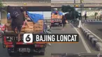 Terekam kamera pengendara mobil yang melintas, bajing loncat curi satu peti telur ayam di sebuah mobil box.